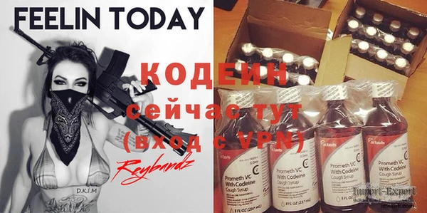 хмурый Заводоуковск