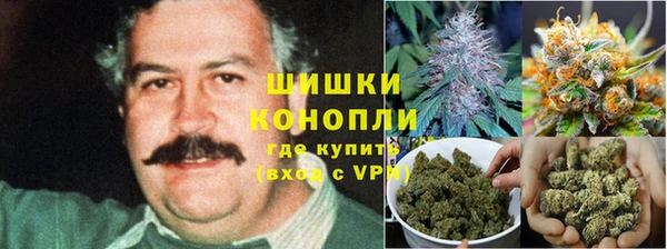 хмурый Заводоуковск